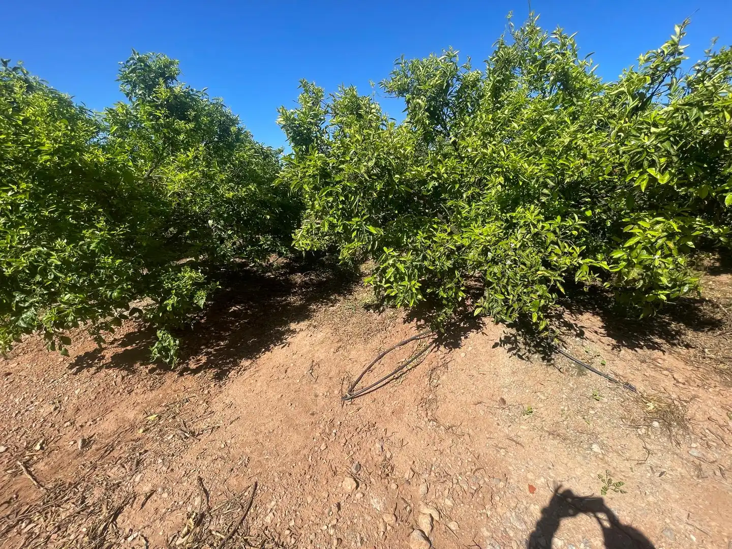 Grundstücke zum Verkauf in Castellón de la Plana / Castelló de la Plana