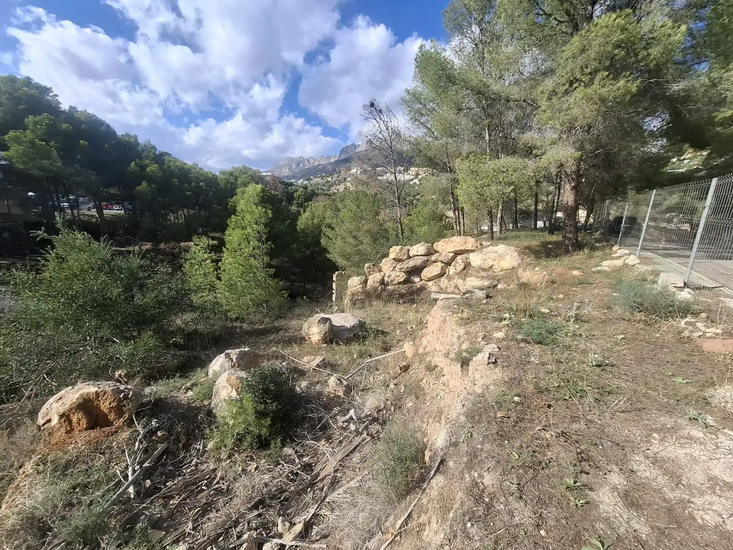 Lands and plots for sale in Mascarat, imagen 9