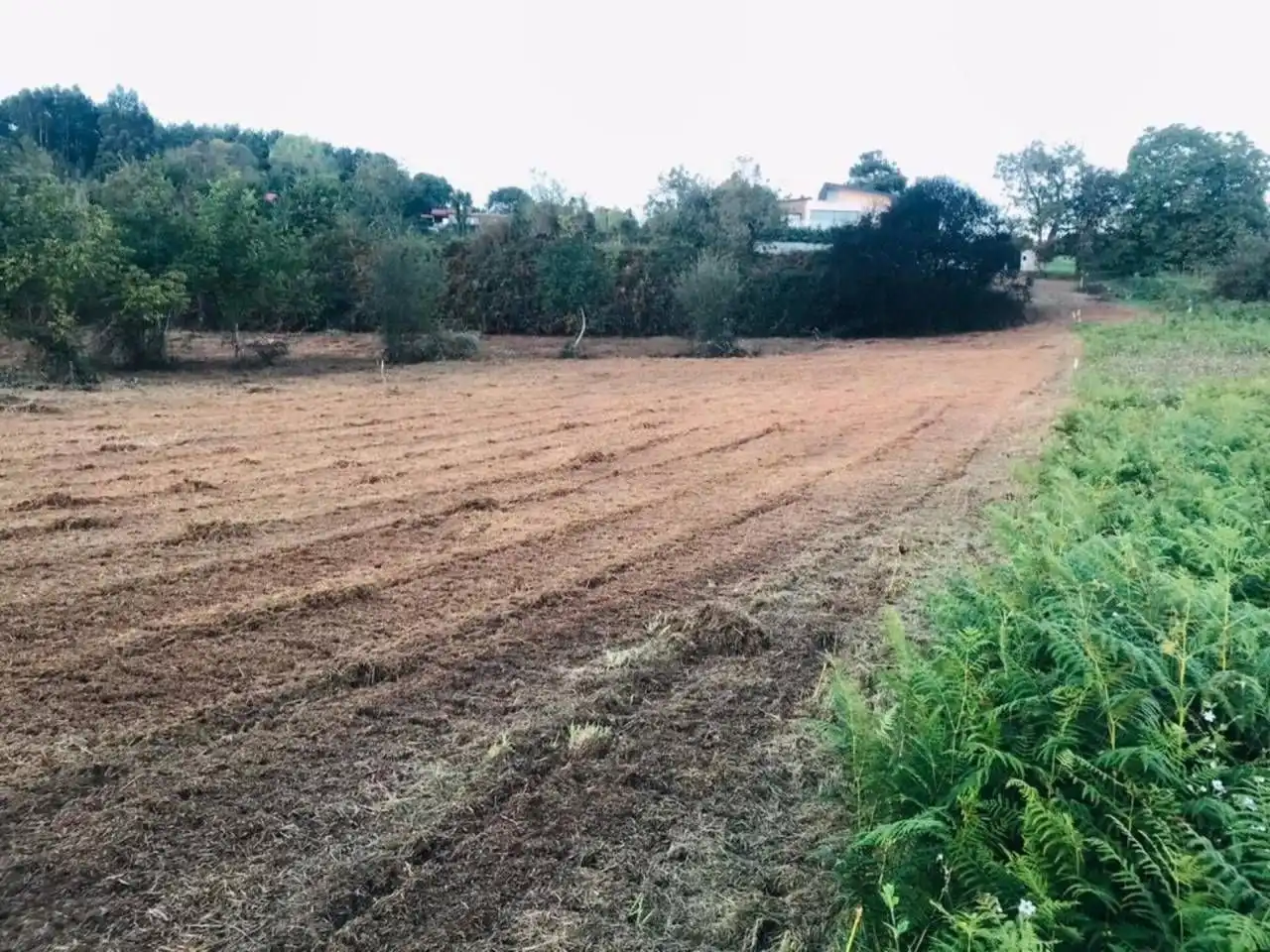 Residential land for sale in Vilarmaior