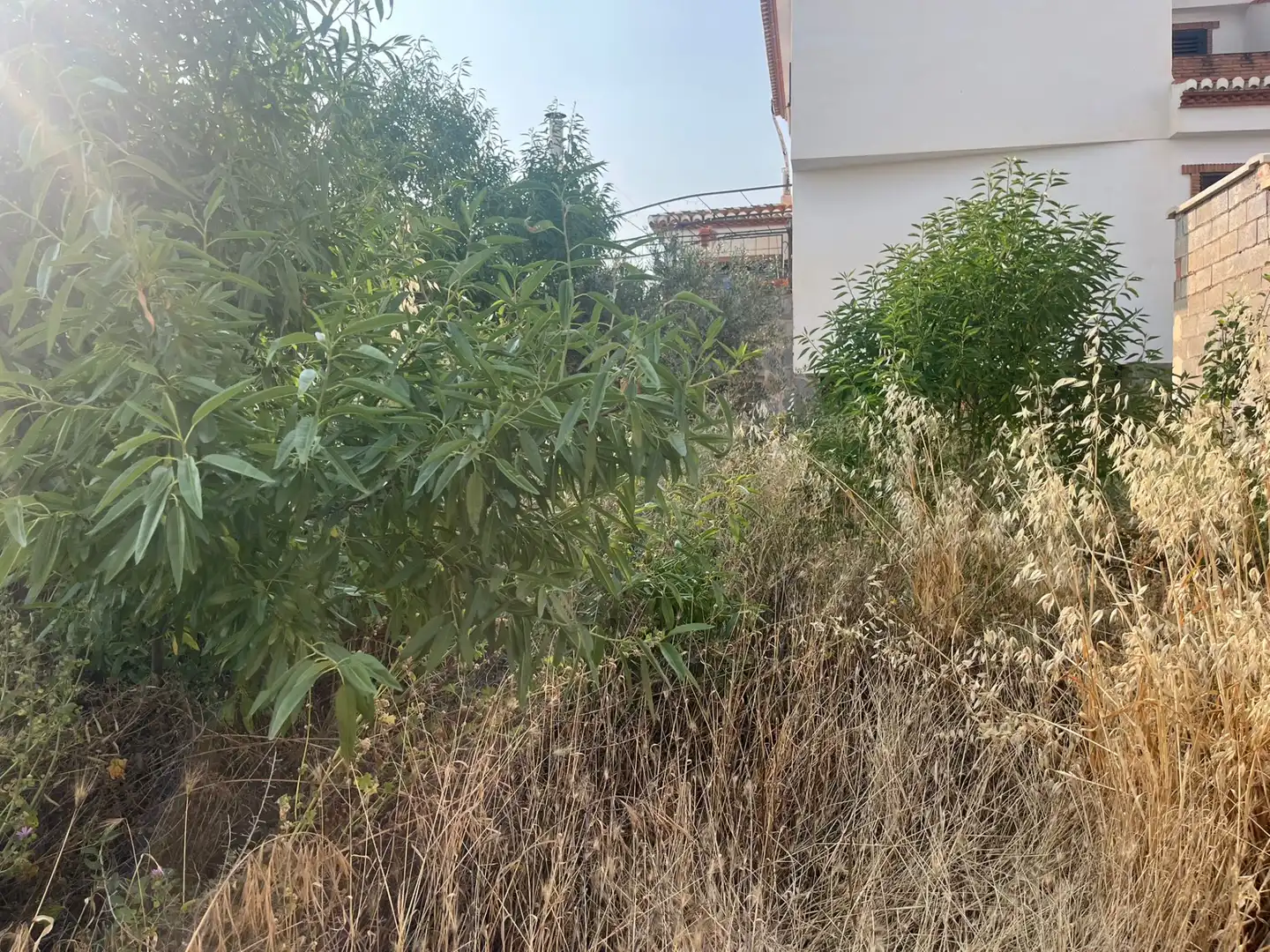 Rural land for sale in Calle Verano, imagen 8