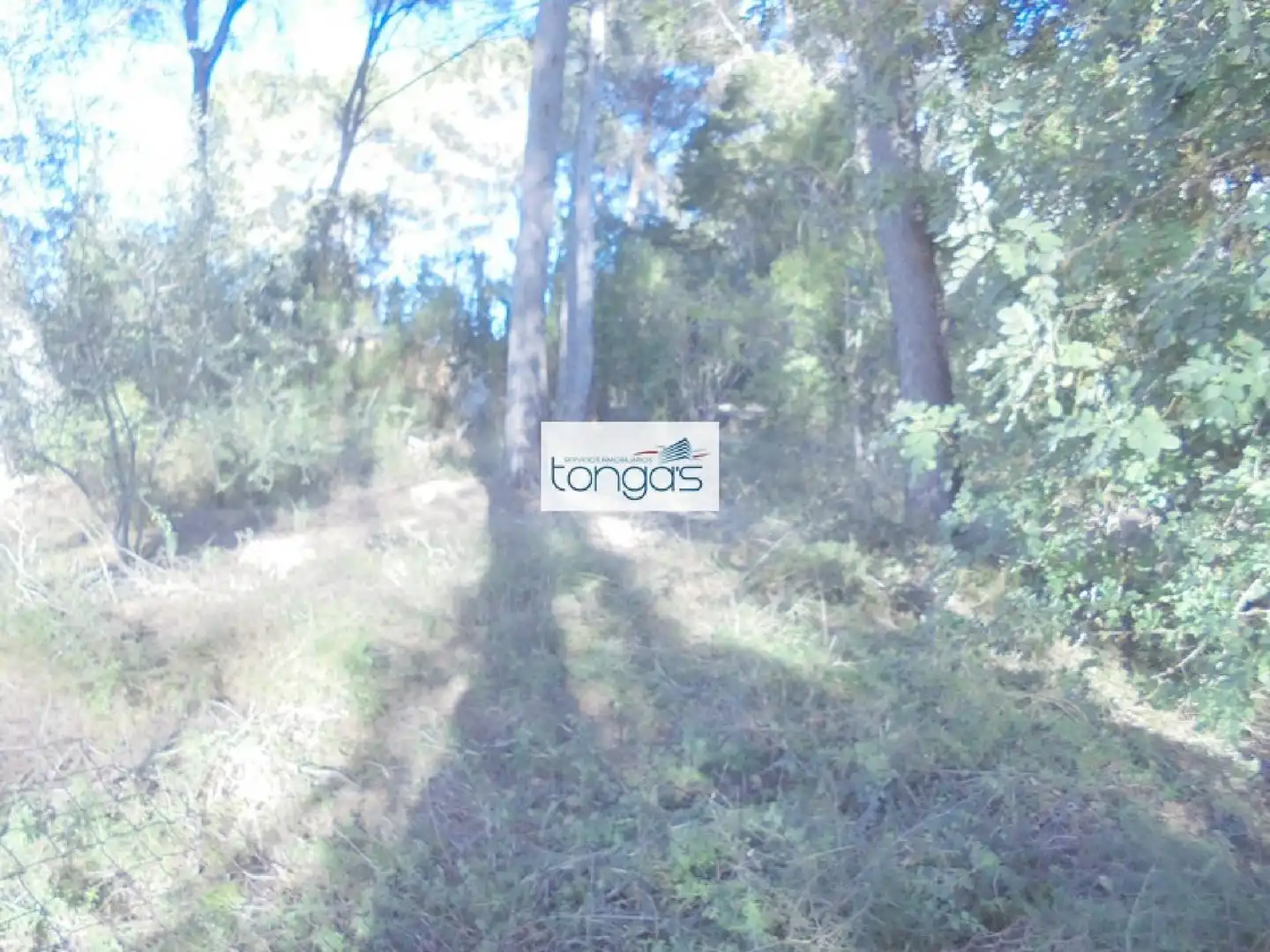 Terreno residencial en venta en El Genovés, imagen 3