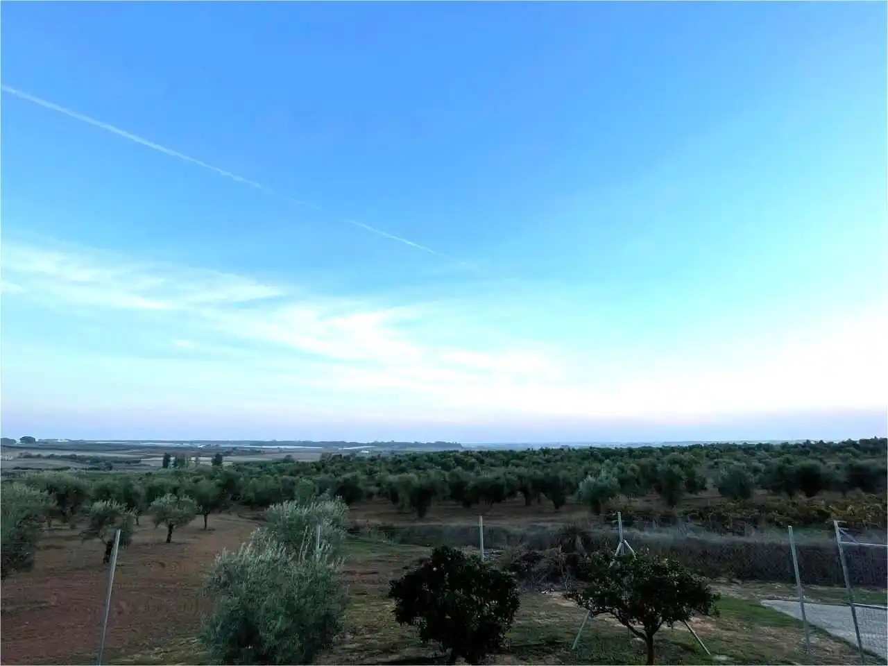 Terreni e lotti in vendita a Lucena del Puerto, imagen 6