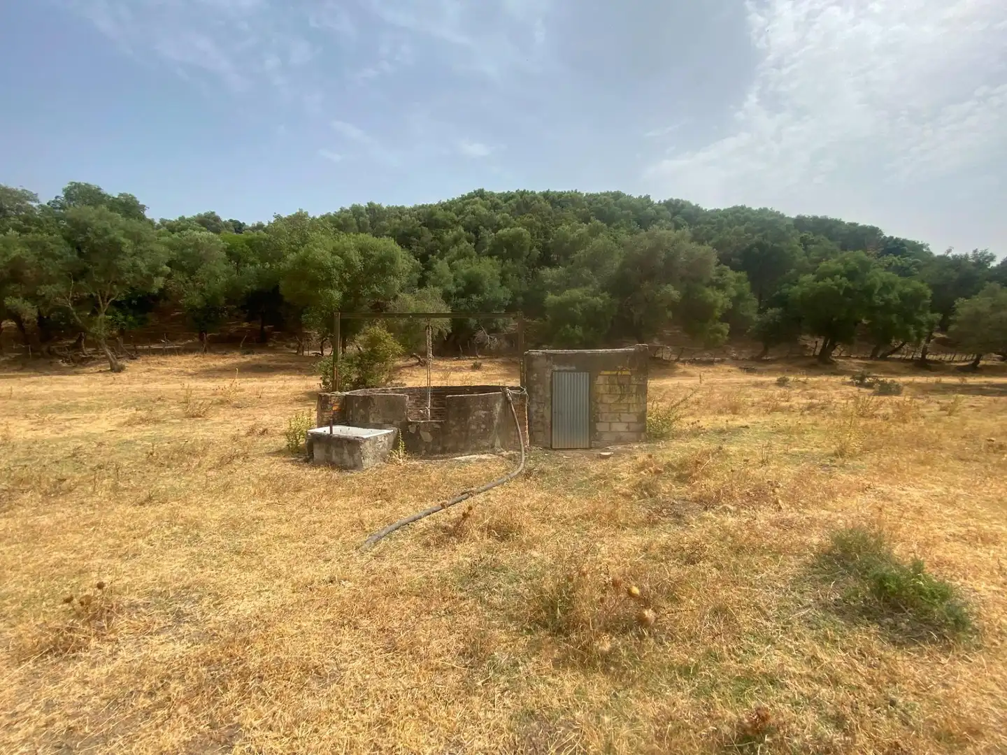 Terreni e lotti in vendita a Alcalá de los Gazules, imagen 92