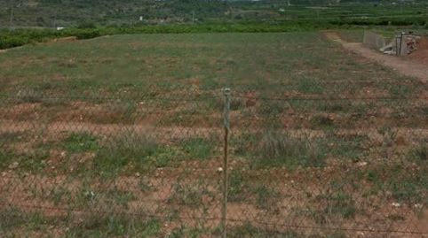 Foto 4 de Finca rústica en venda a Avenida Alemania-Italia, Vila-real