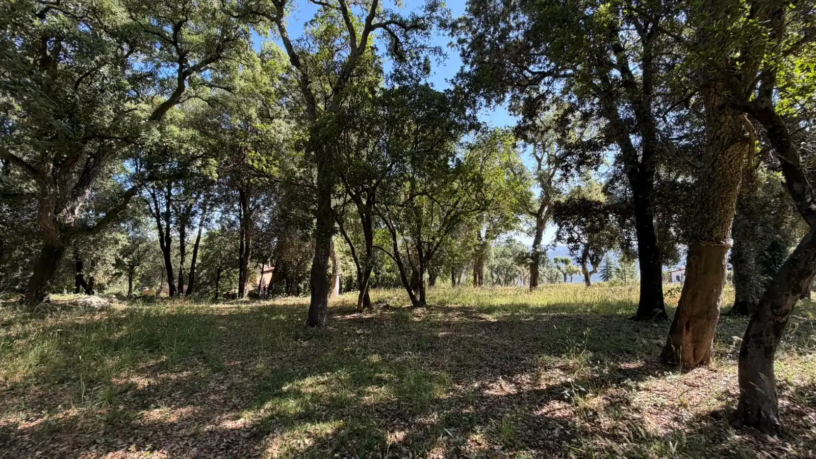 Terreno residencial en venta en Montsoriu Sortida 167, imagen 6