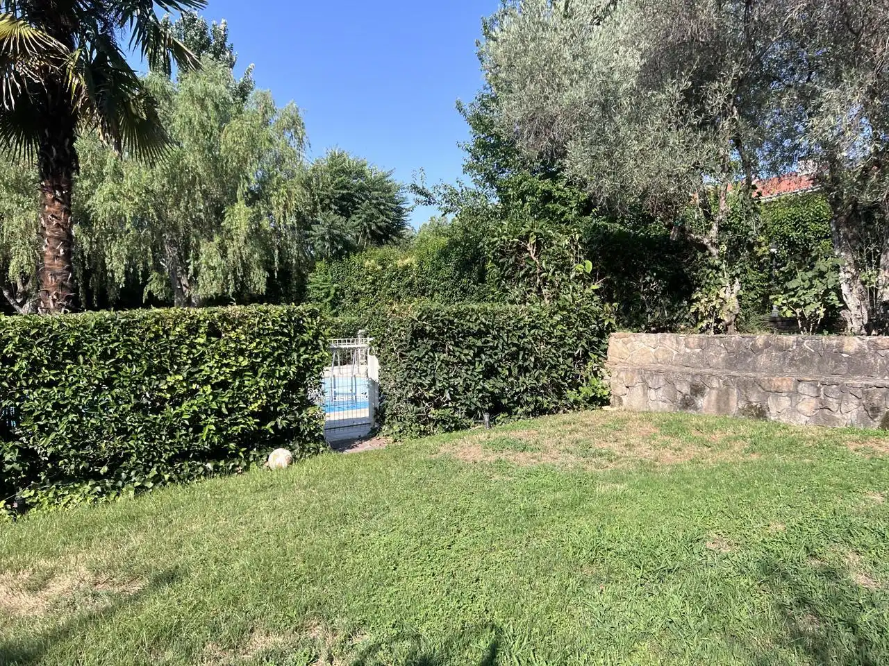 Casa con piscina in affitto a Calle Genaro Núñez, imagen 50