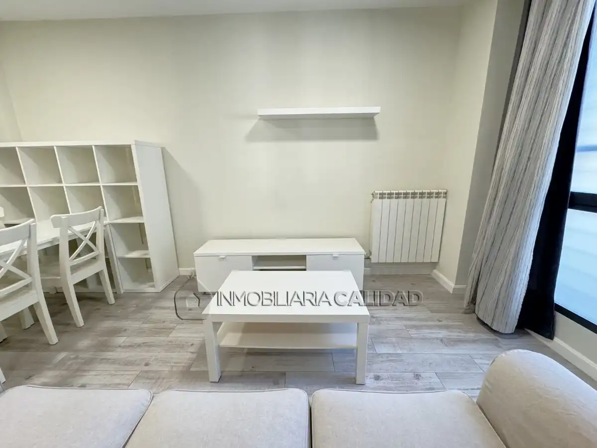 Living room of Flat for rent in Burgos  with Heating, Terrace and Furnished