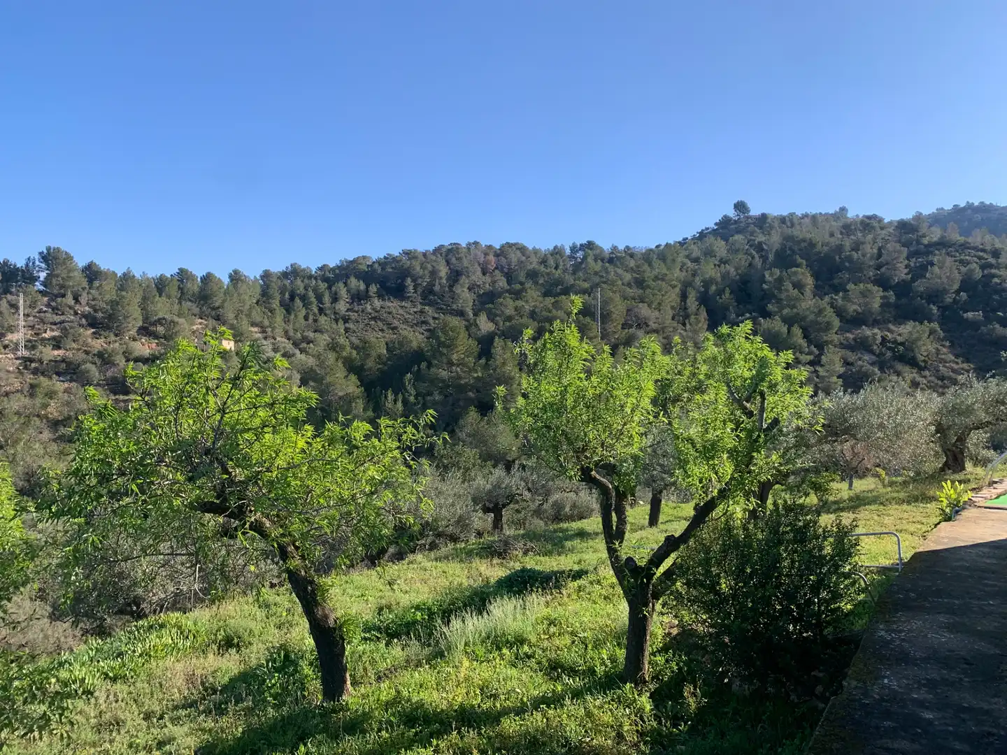 Finca rústica en venda en Tortosa amb Aire condicionat, Calefacció i Jardí privat