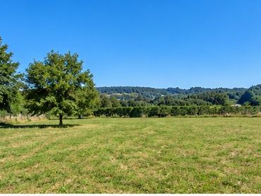 Terreno rustico in vendita a Lugar O Regueiro 3