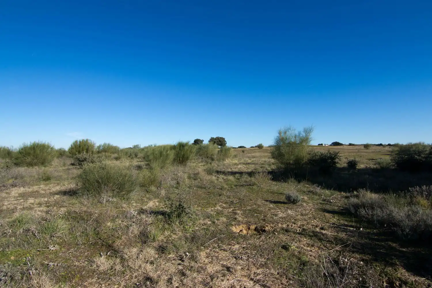 Rural land for sale in Villamanta 0, imagen 3