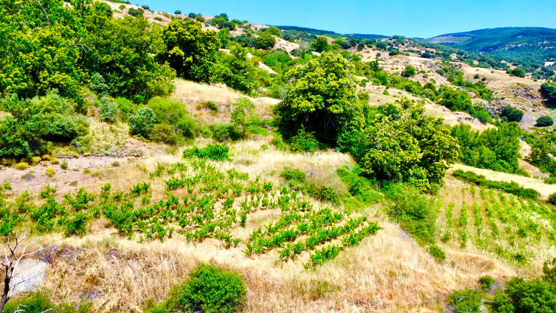 Terreni e lotti in vendita a Alpujarra de la Sierra, imagen 44