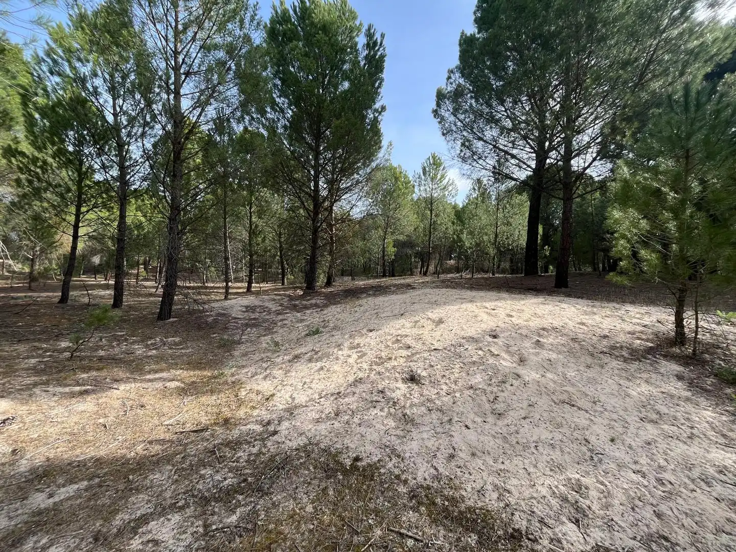 Terreno en venta en Tudela de Duero