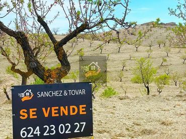 Terreni e lotti in vendita a Vélez-Rubio