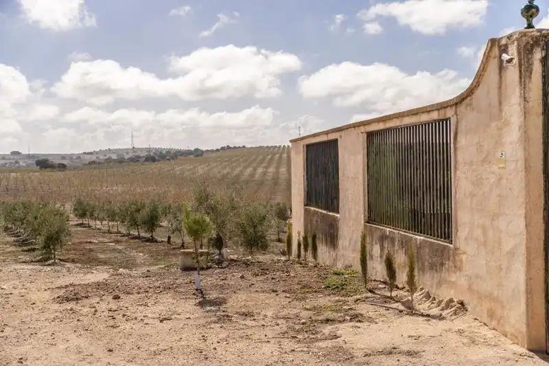 Terreni e lotti in vendita a Alamedilla, imagen 27