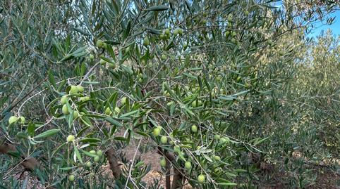 Foto 3 de Residencial en venda a Carretera Coín, 1, Centro, Málaga