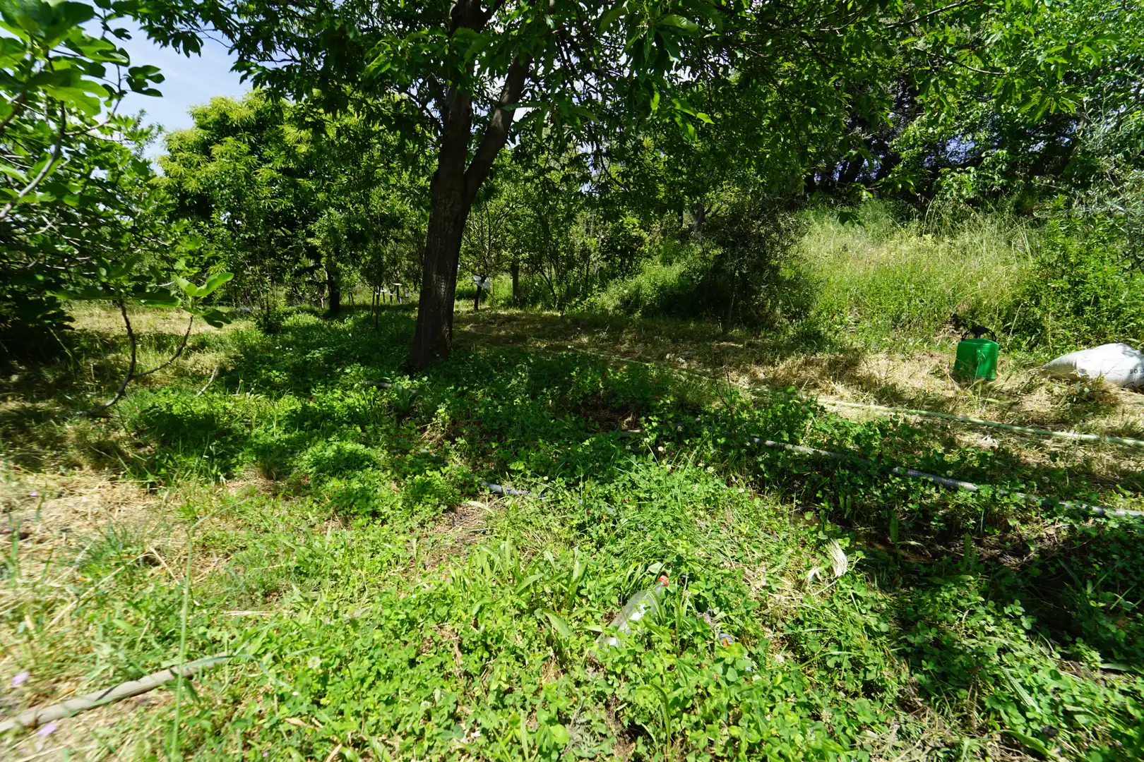 Finca rústica en venda en La Taha amb Terrassa i Moblat