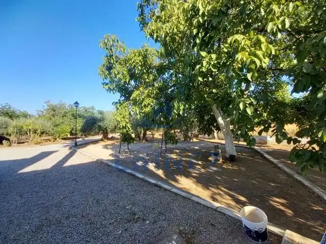 Terreny residencial en venda a Belmez, imagen 25