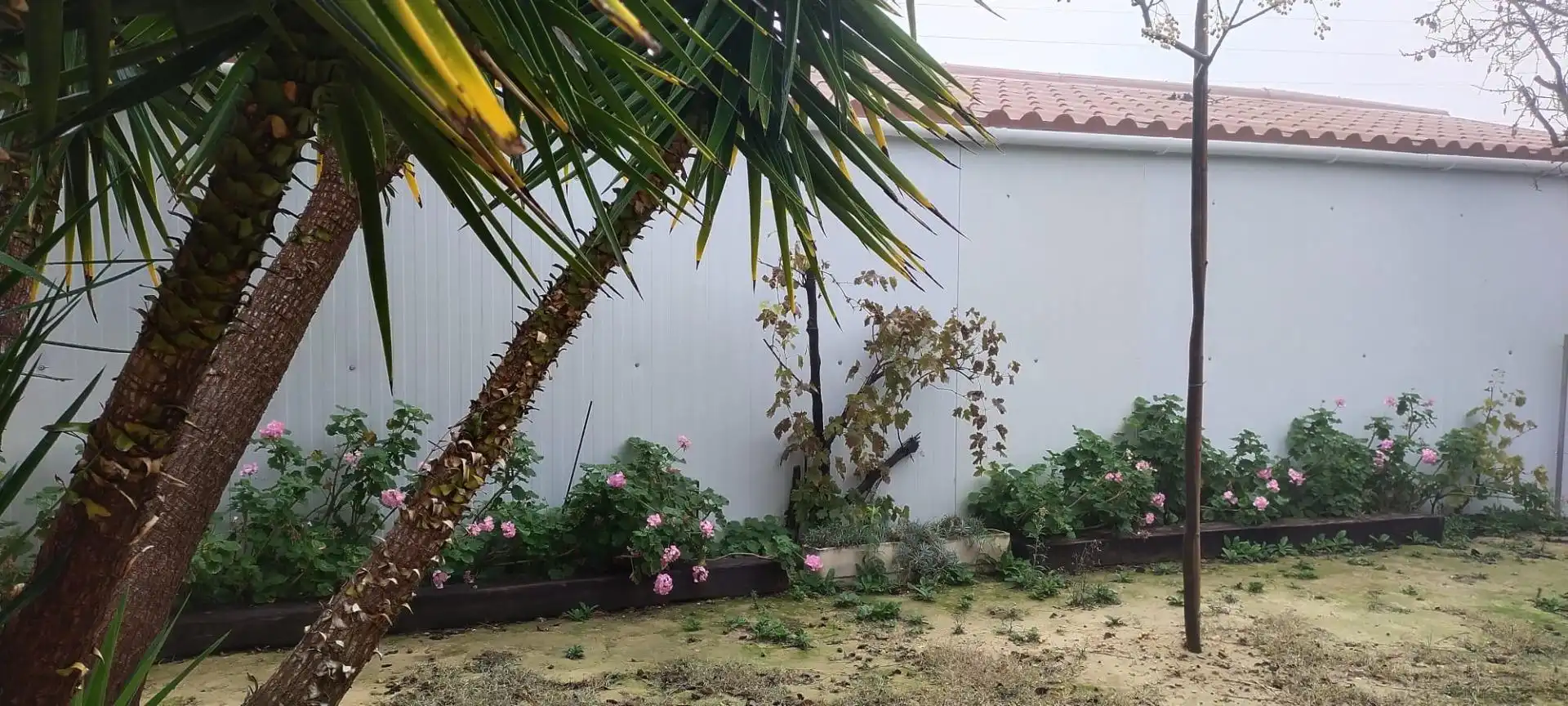 Country homes for sale in Garcia
