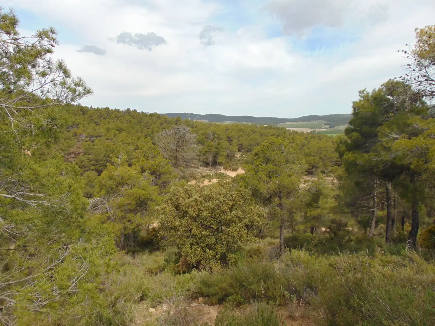 Casa rustica con piscina in vendita a Partida Polop Baix, imagen 42
