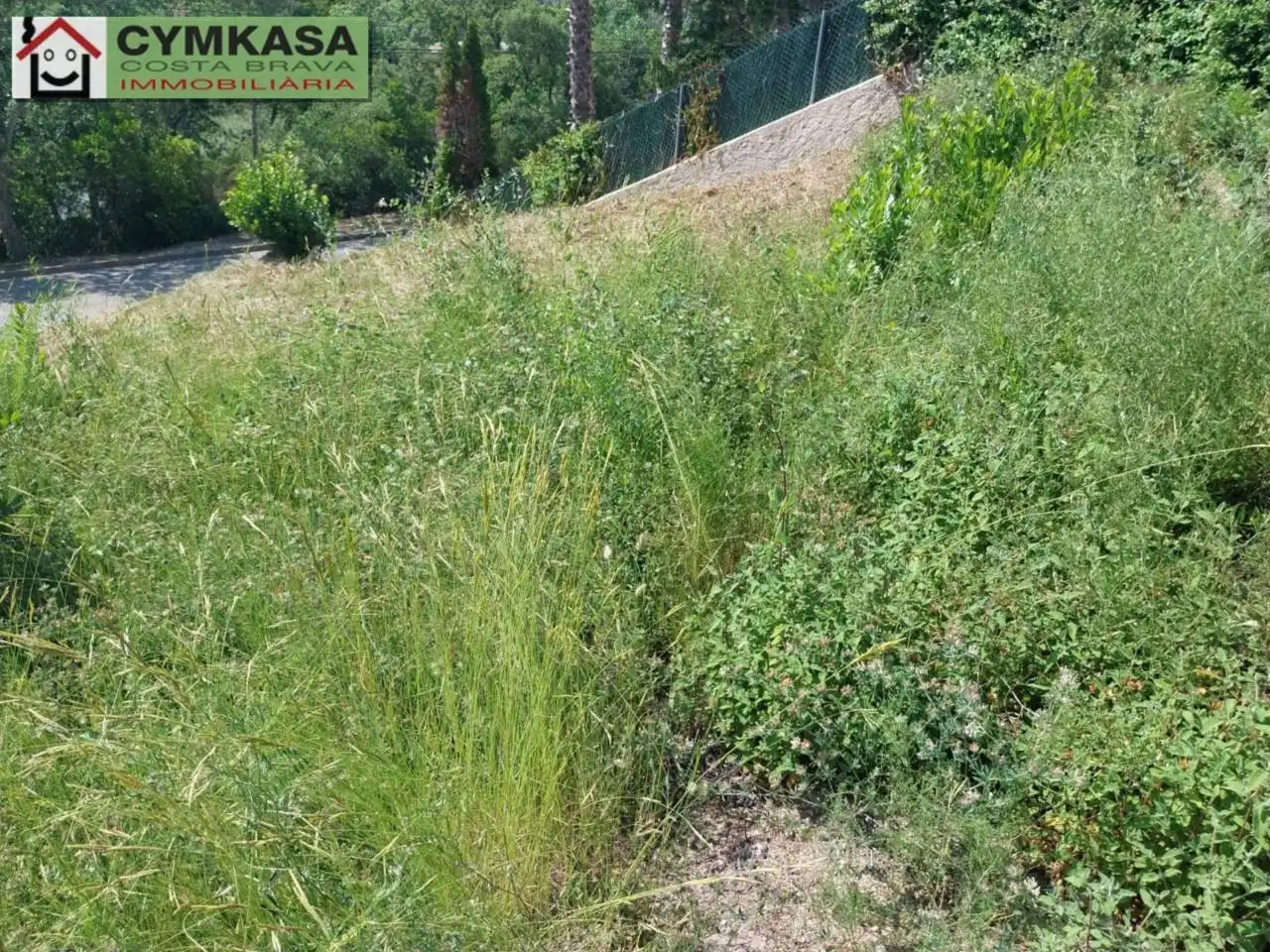 Residential land for sale in Montbarbat, imagen 8
