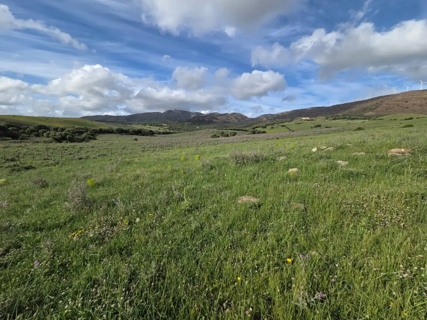 Terreno en venta en Tarifa