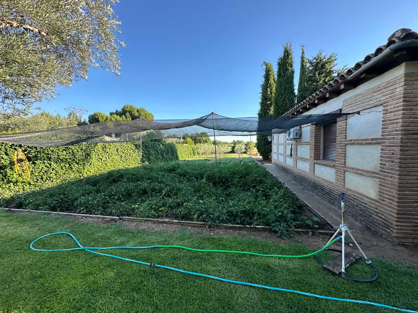 Jardín de Casa o chalet en venta en Montearagón con Aire acondicionado, Calefacción y Jardín privado