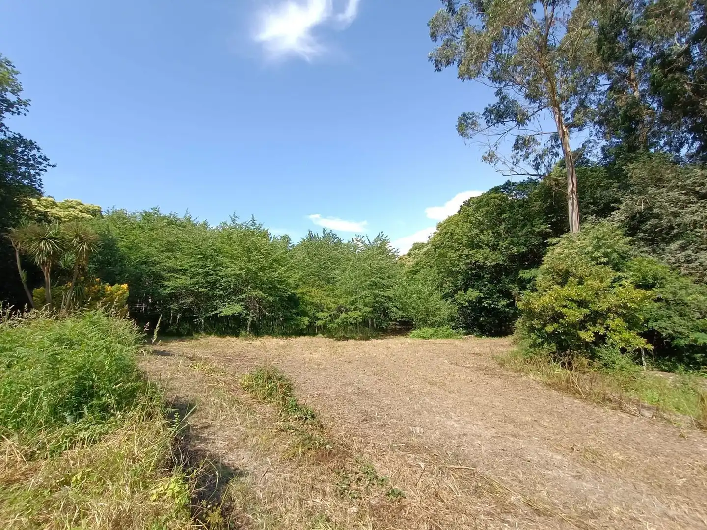 Rural land for sale in Parroquias Rurales, imagen 23