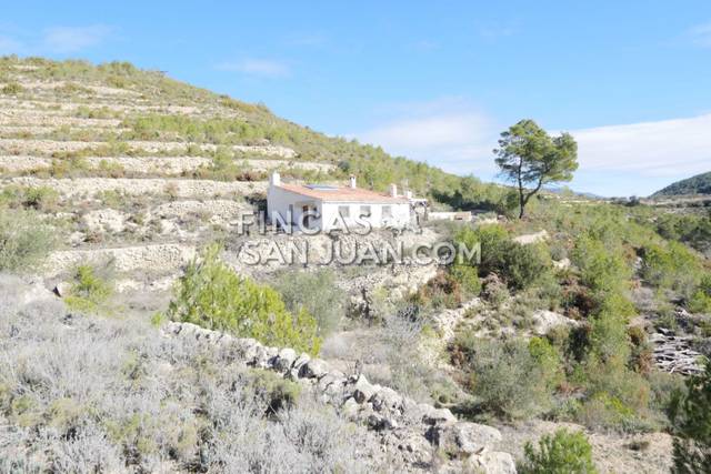 Finca rústica en Venta en Torremanzanas / La Torre de les Maçanes