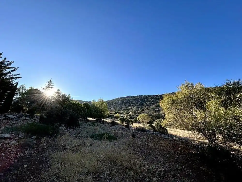 Finca rústica en venta en Colomera con Calefacción, Terraza y Piscina