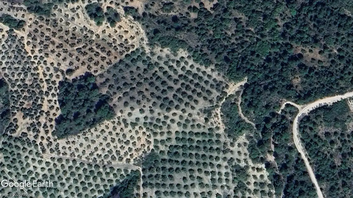 Terrain rustique à vendre à Puente de Génave