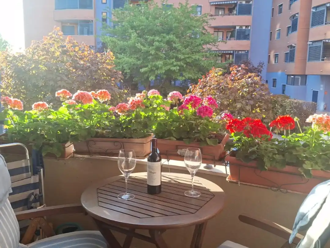 Terrassa de Pis en venda en  Madrid Capital amb Aire condicionat, Terrassa i Piscina