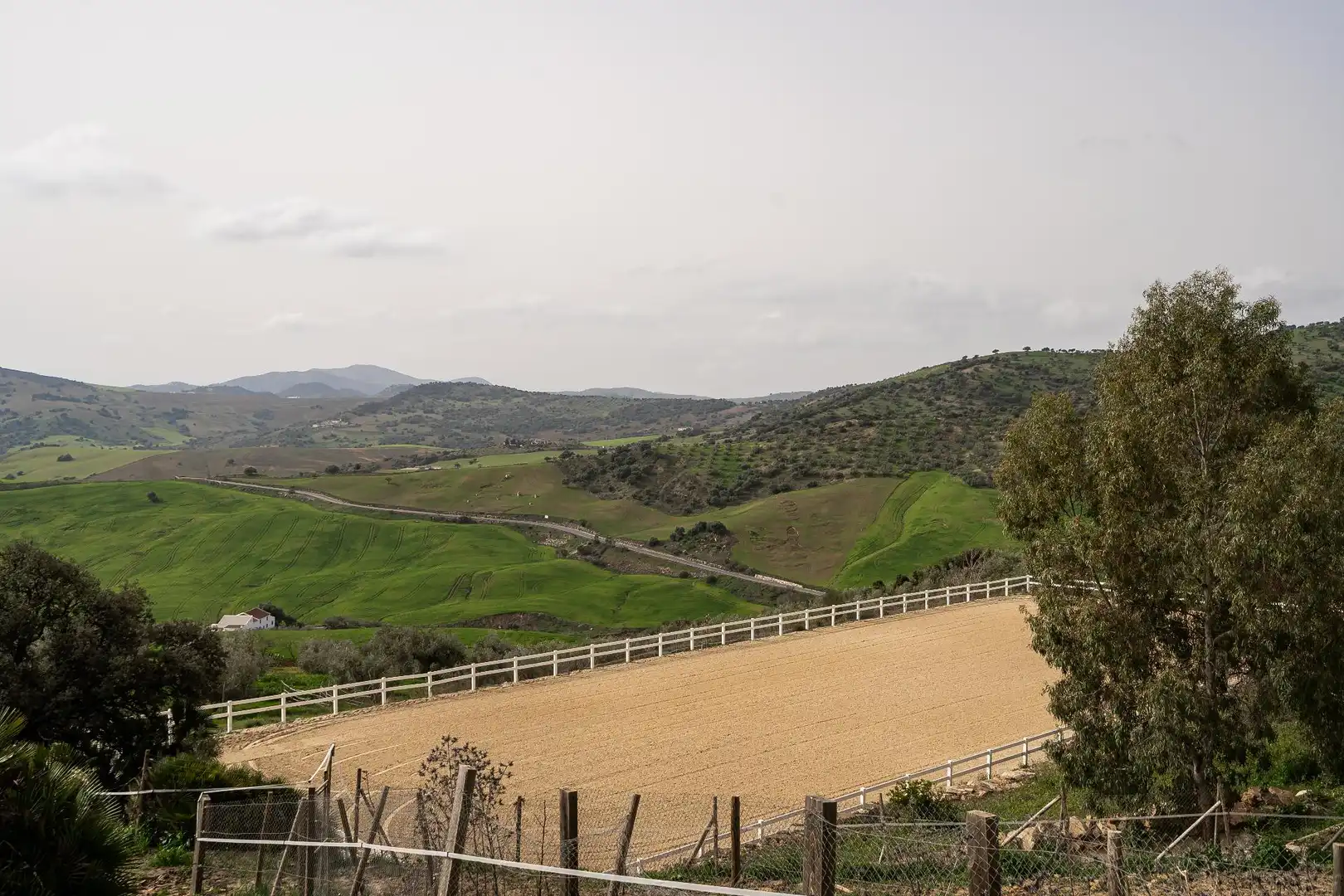 Vista exterior de Finca rústica en venta en Villanueva de la Concepción con Terraza, Piscina y Amueblado