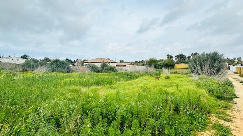Foto 3 de Terreno en venta en Roche, Conil de la Frontera