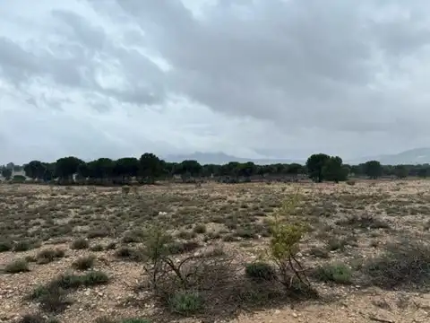 Rustikales Grundstück zum Verkauf in Partida de Villena / Partida Corralet - Casa Soler, imagen 10