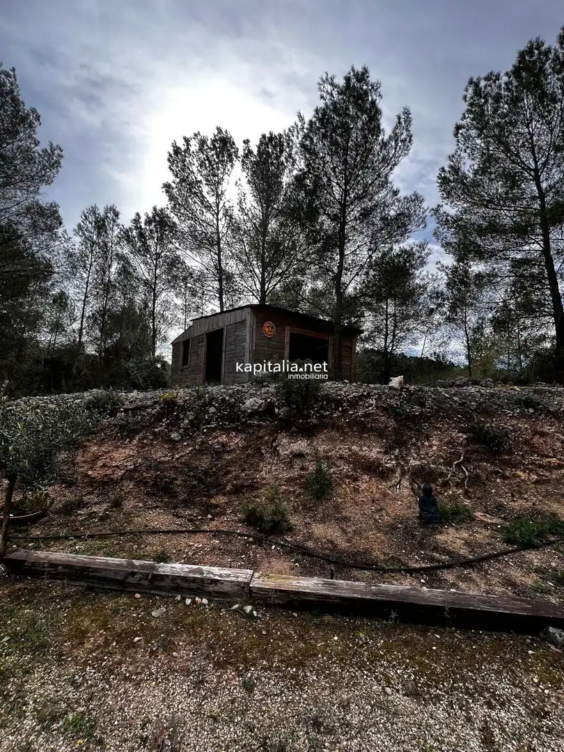 Terreny rústic en venda a L'Olleria, imagen 7