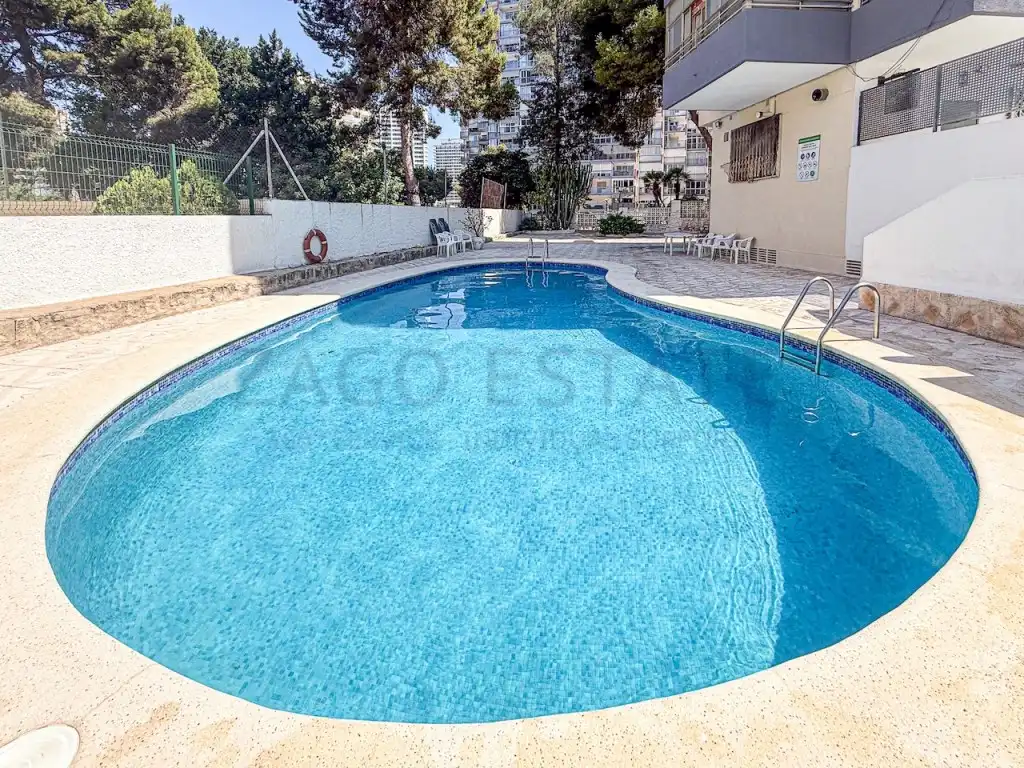 Swimming pool of Flat for sale in Benidorm