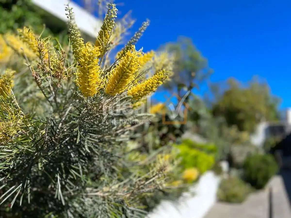 Garden of Houses for sale in Güímar  with Private garden, Terrace and Swimming Pool