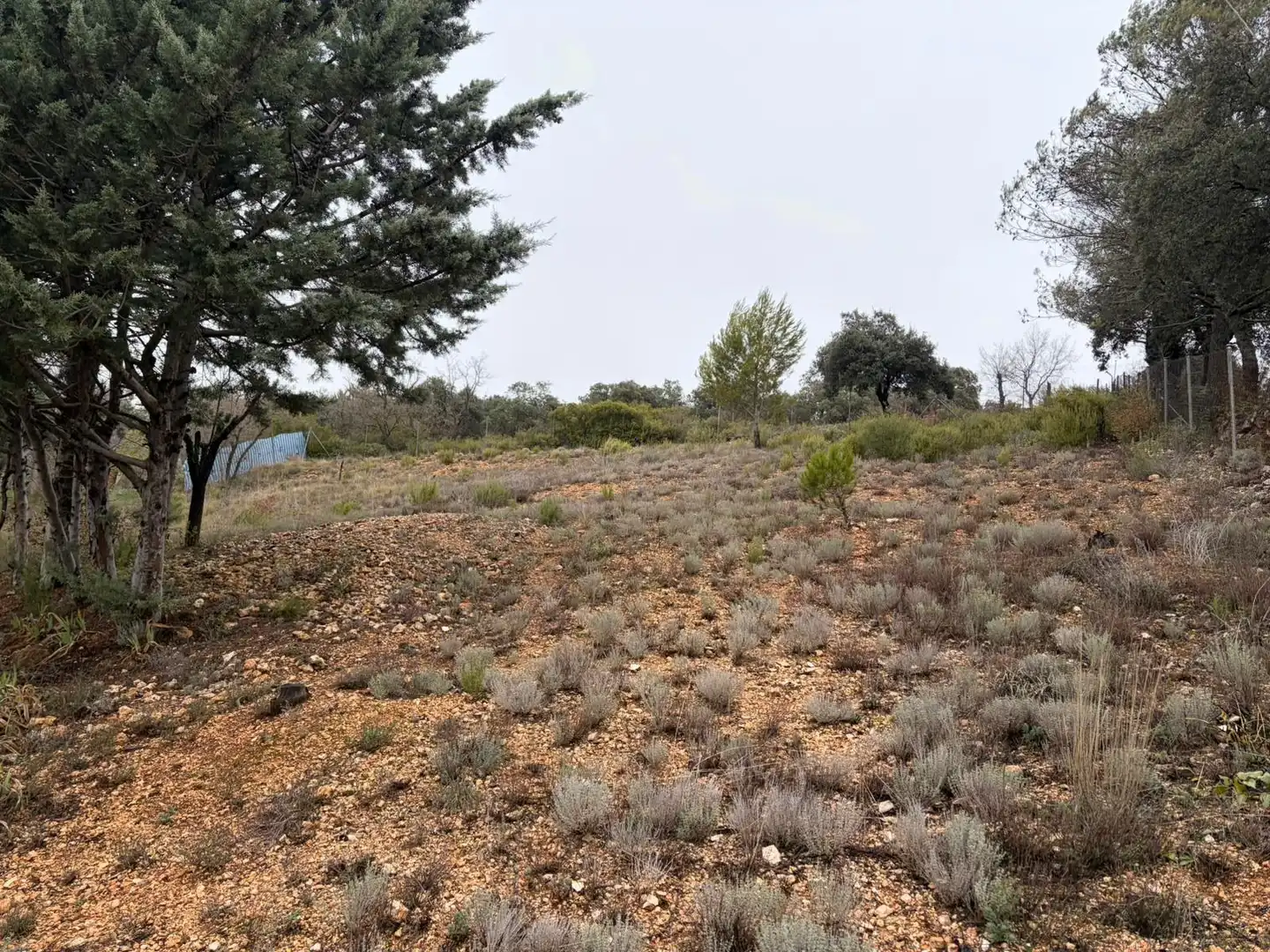 Finca rústica en venta en Pioz