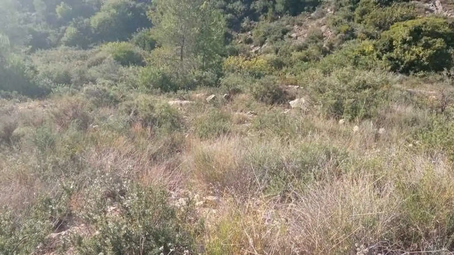 Terrenys i solars en venda a Ermita San Cristobal 10, imagen 10