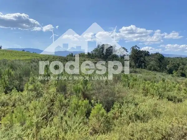 Terreny rústic en venda a Crecente, imagen 2