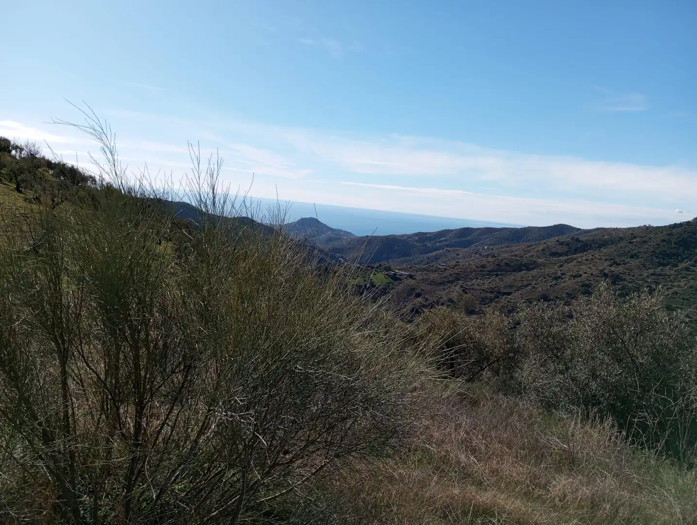 Exterior view of Land for sale in Málaga