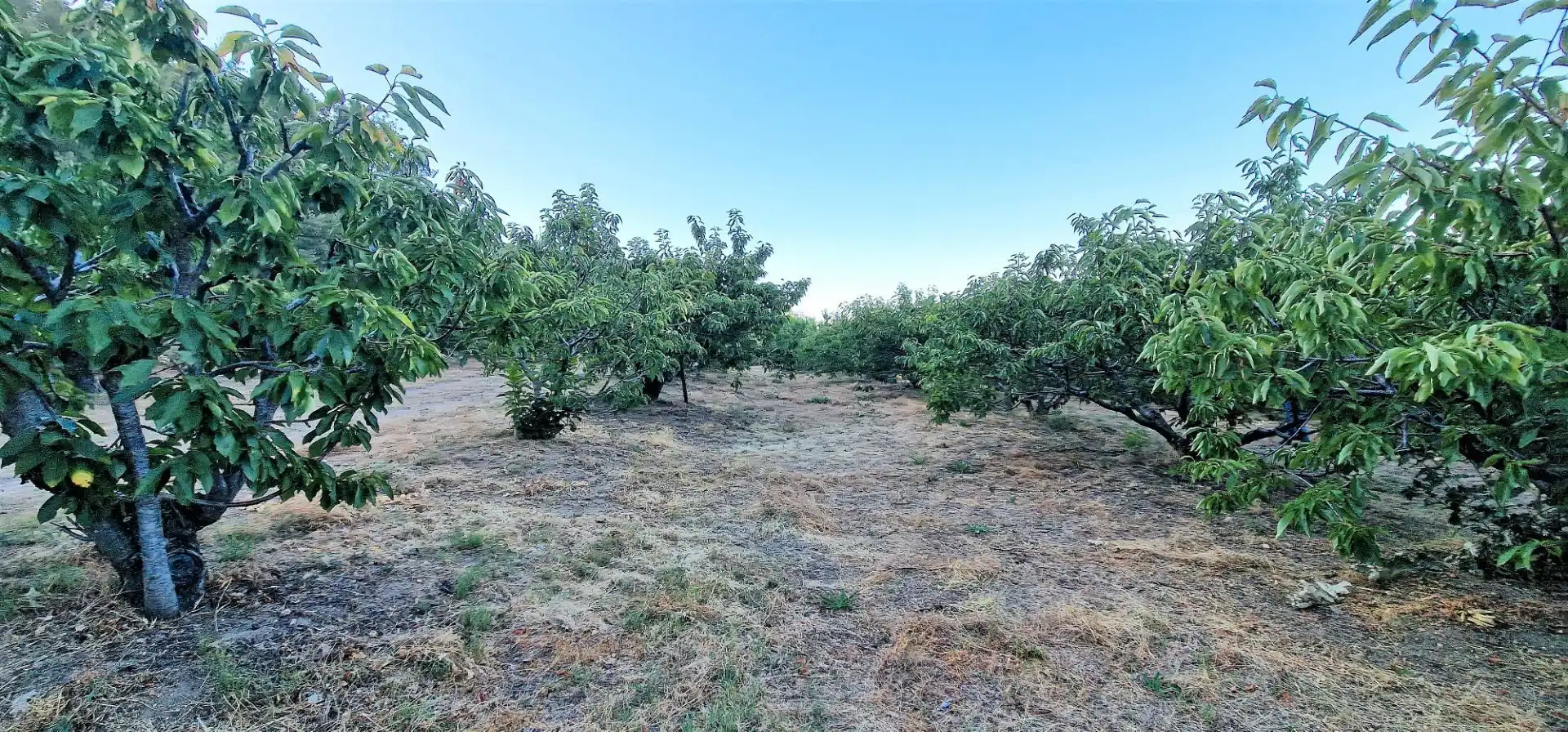 Terreni e lotti in vendita a Aldeanueva de la Vera, imagen 9