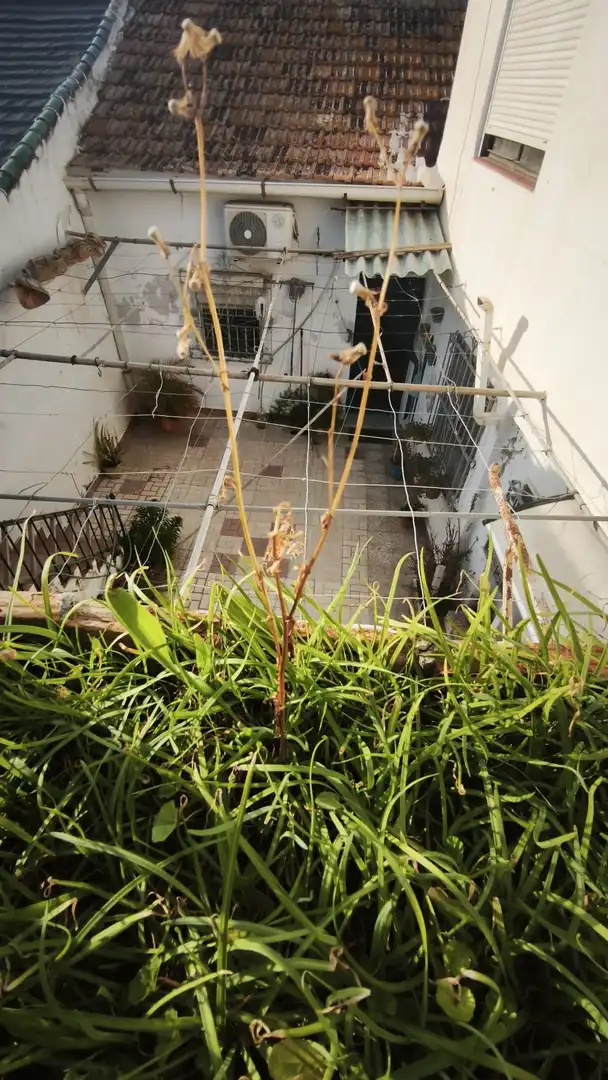 Jardí de Casa o xalet en venda en Málaga amb Terrassa
