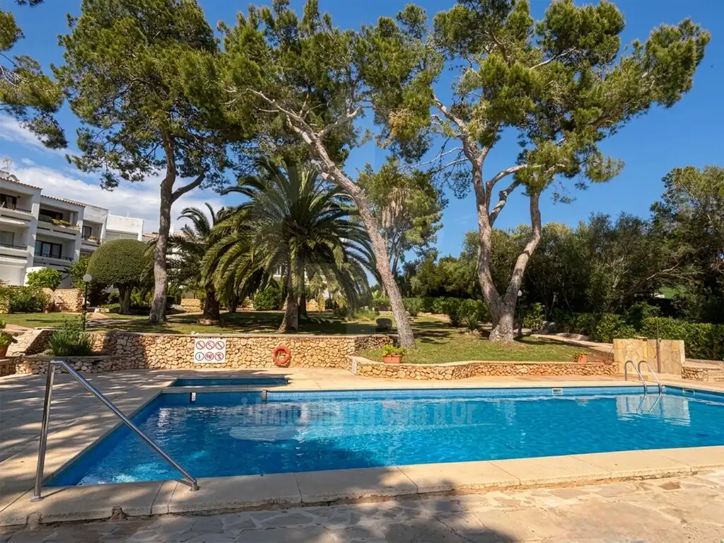 Swimming pool of Apartments for sale in Felanitx  with Air Conditioner, Terrace and Furnished
