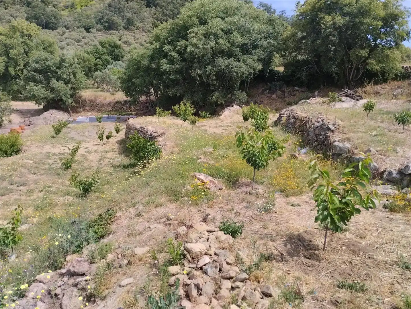 Finca rústica en venta en Pasarón de la Vera
