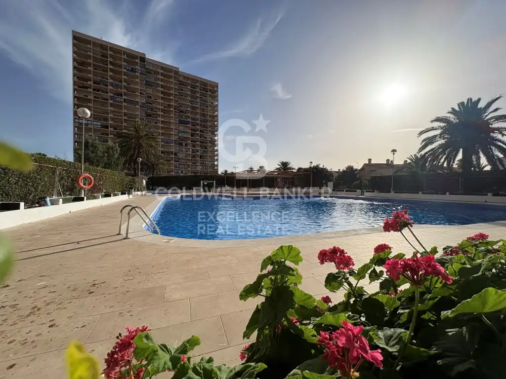 Piscina de Planta baja en venta en El Puig de Santa Maria con Jardín privado, Piscina y Horno