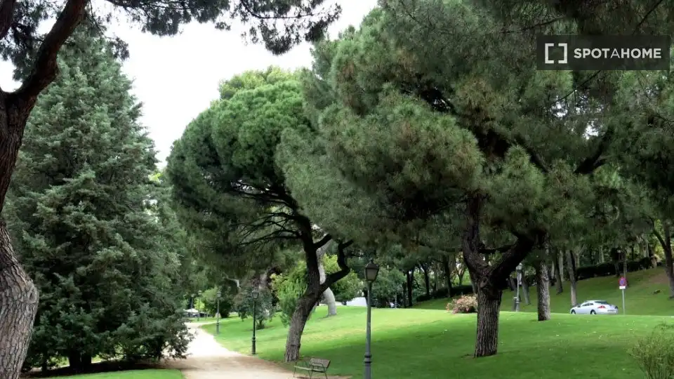 Garden of Apartments for share in Madrid  with Air Conditioner, Heating and Terrace