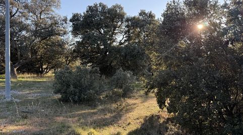 Foto 5 de Residencial en venda a De Avila, Maello, Ávila