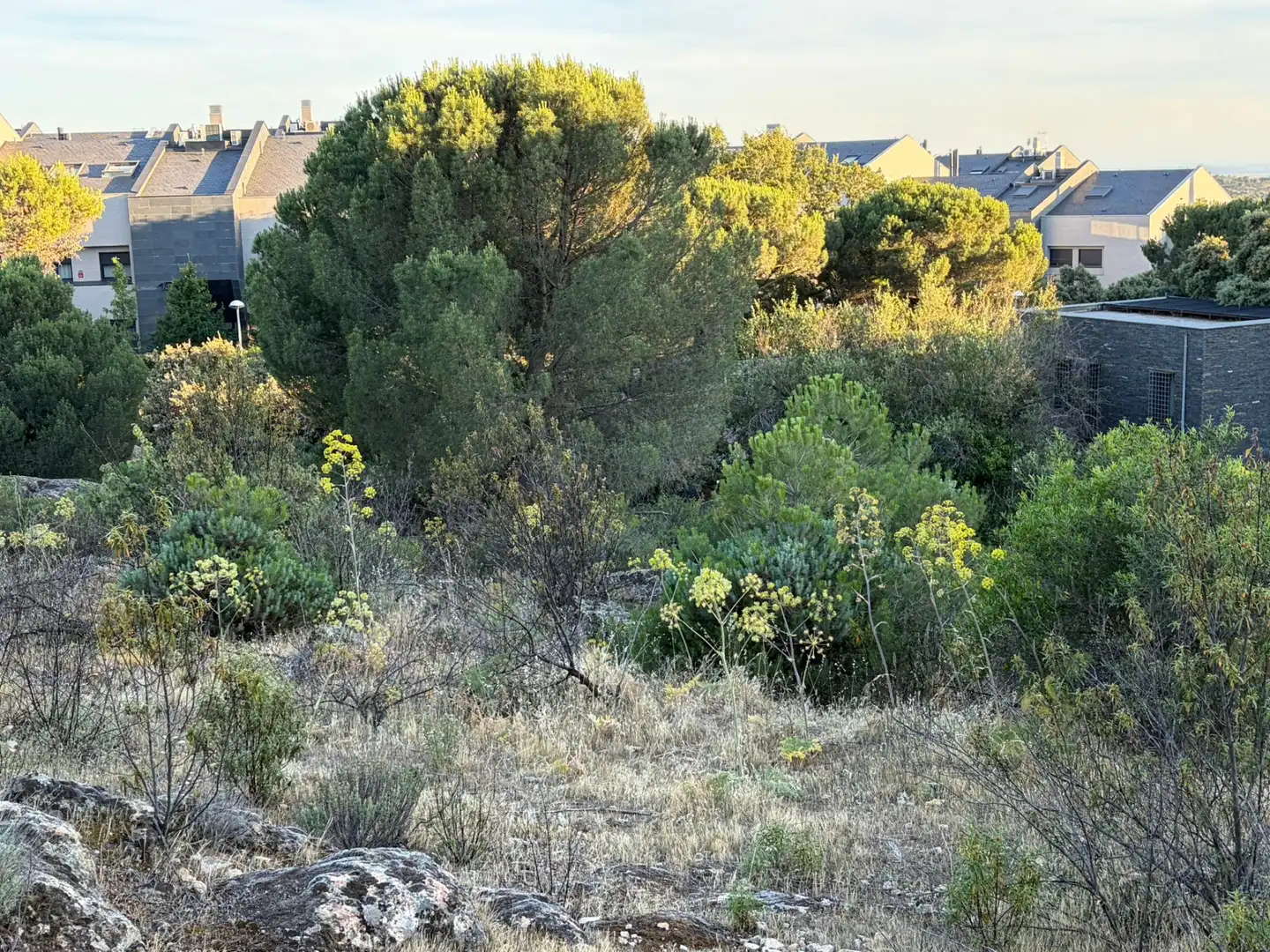 Residencial en venta en Torrelodones