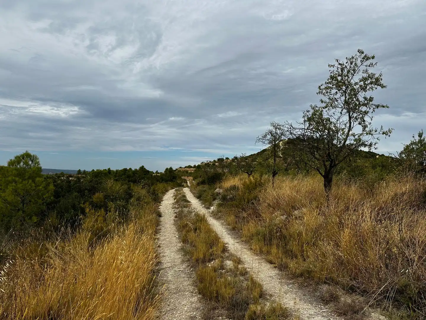 Terreny rústic en venda a Cervià de Les Garrigues, imagen 10